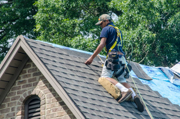 Best Roof Maintenance Services  in Halfway, MD